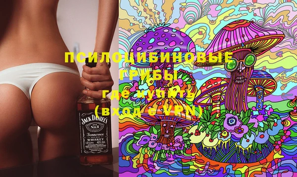 PSILOCYBIN Баксан