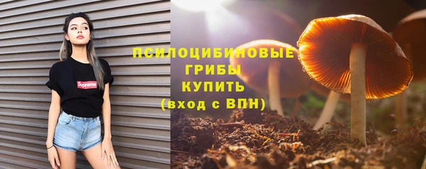 PSILOCYBIN Баксан