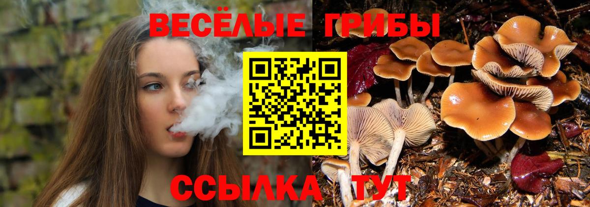 ГАШ  Вход с VPN  Усть-Лабинск  Мефедрон   МАРИХУАНА 