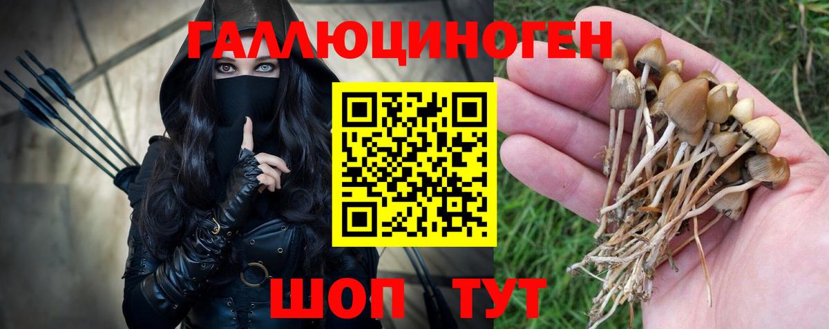 Псилоцибиновые грибы прущие грибы Усть-Лабинск